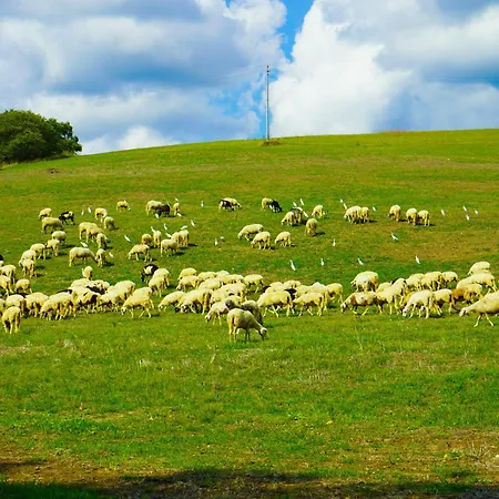 Alloggio per agriturismo Borgo Pallavicini Mori